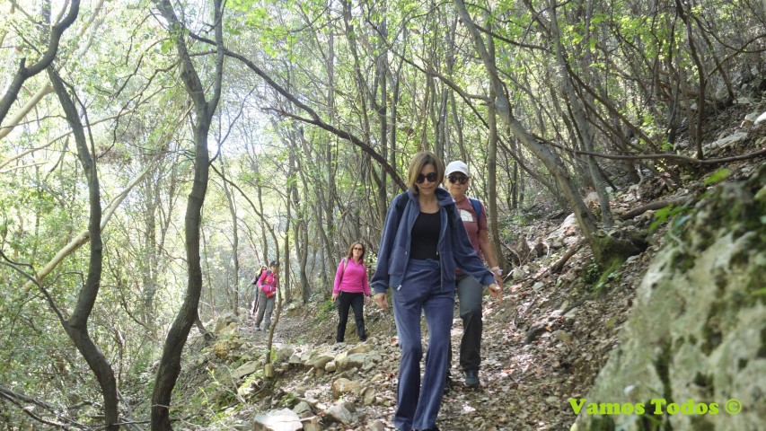 lebanon trekking tours
